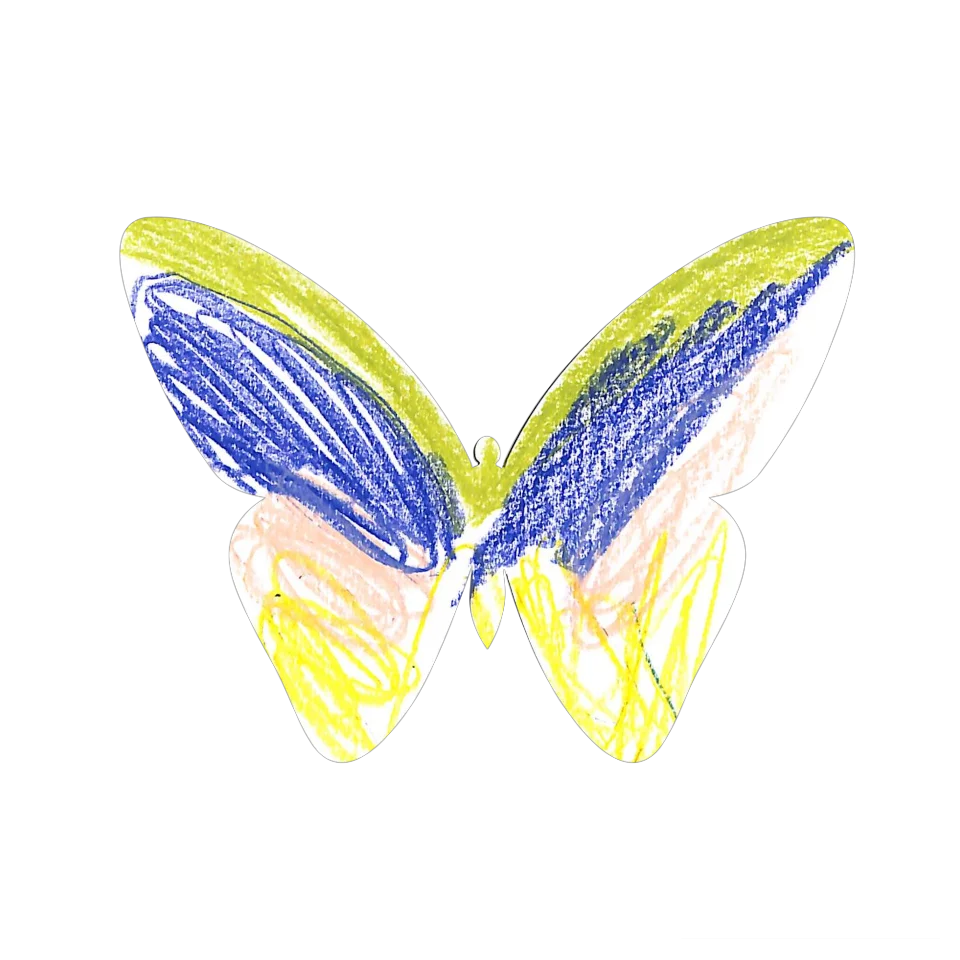Original Butterfly Image