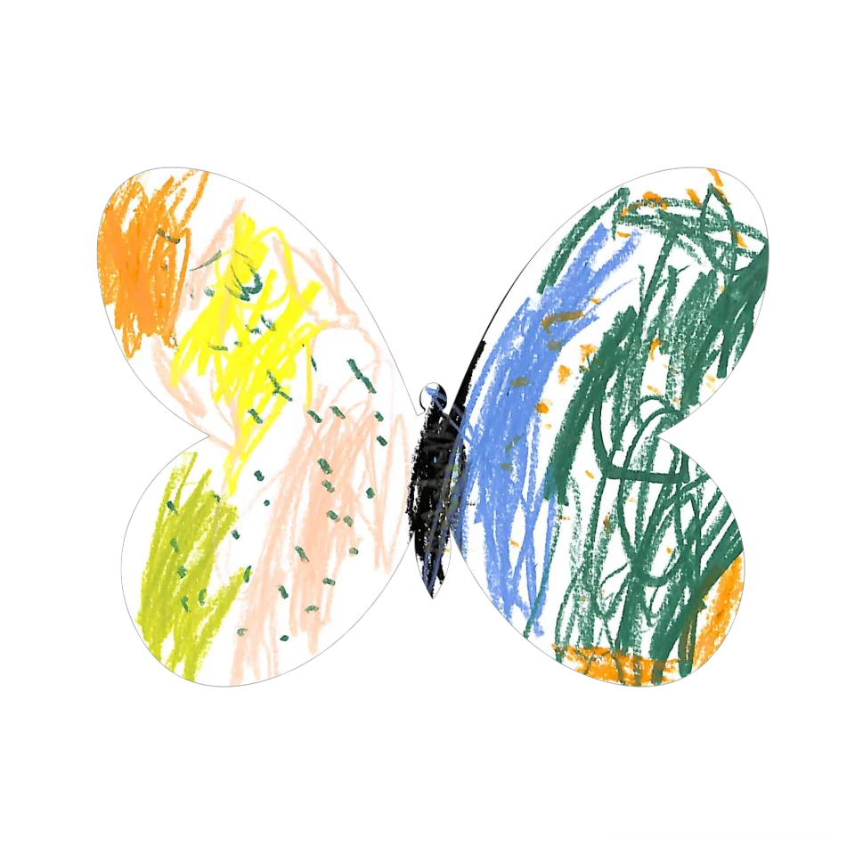 Original Butterfly Image