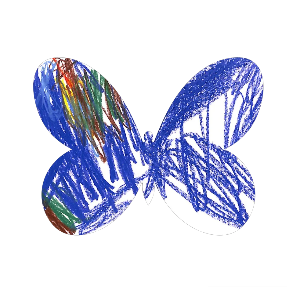 Original Butterfly Image
