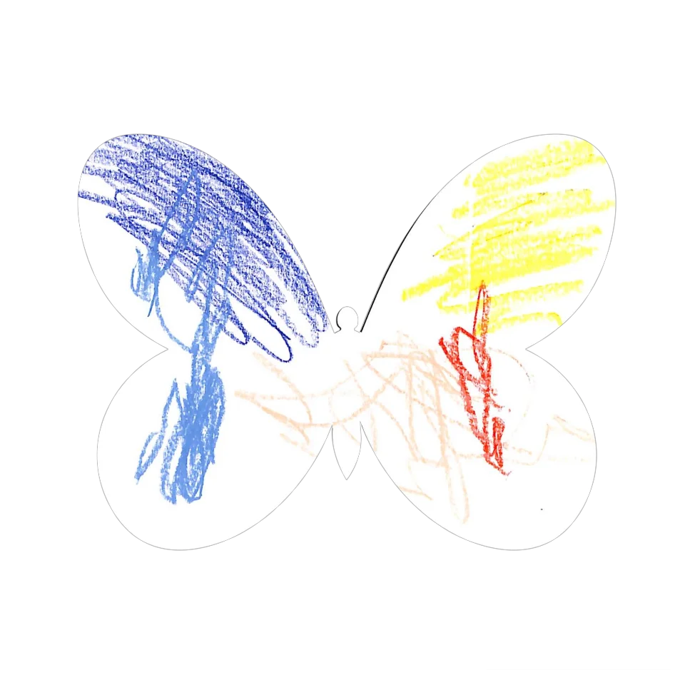 Original Butterfly Image