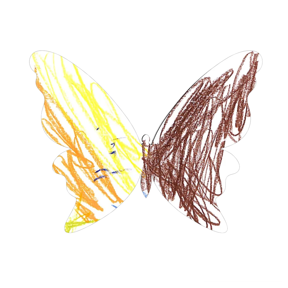 Original Butterfly Image