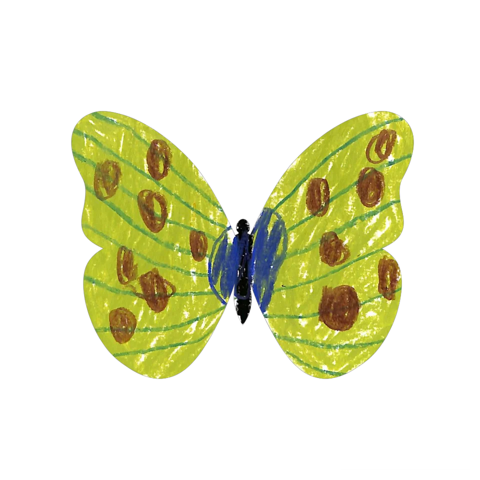 Original Butterfly Image
