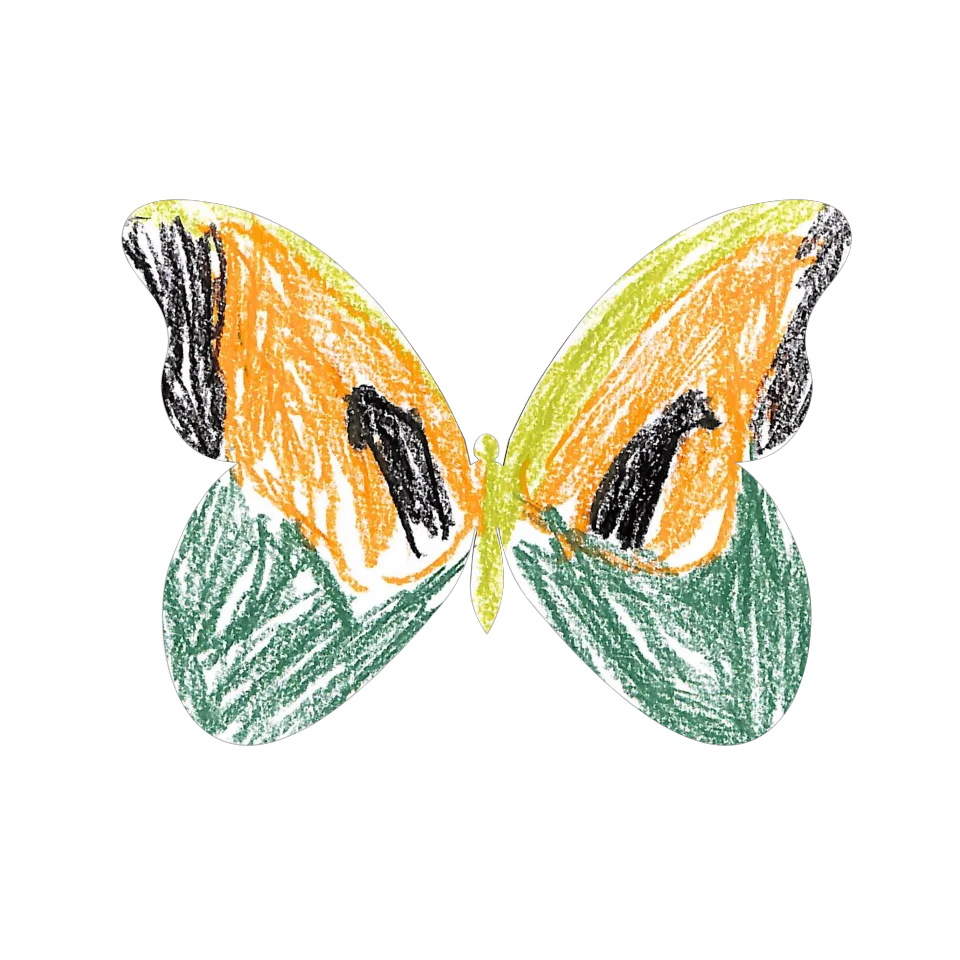 Original Butterfly Image