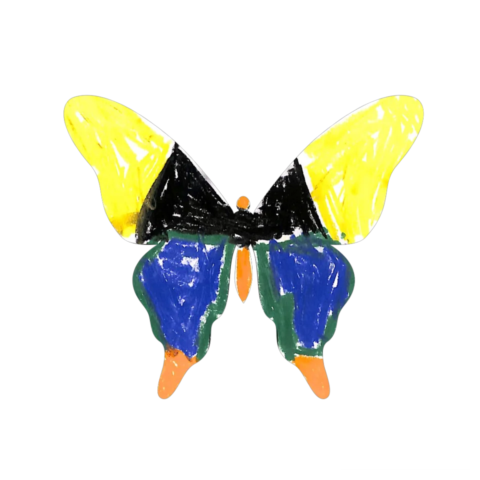 Original Butterfly Image