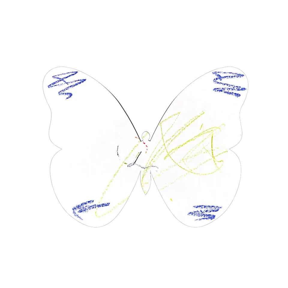 Original Butterfly Image
