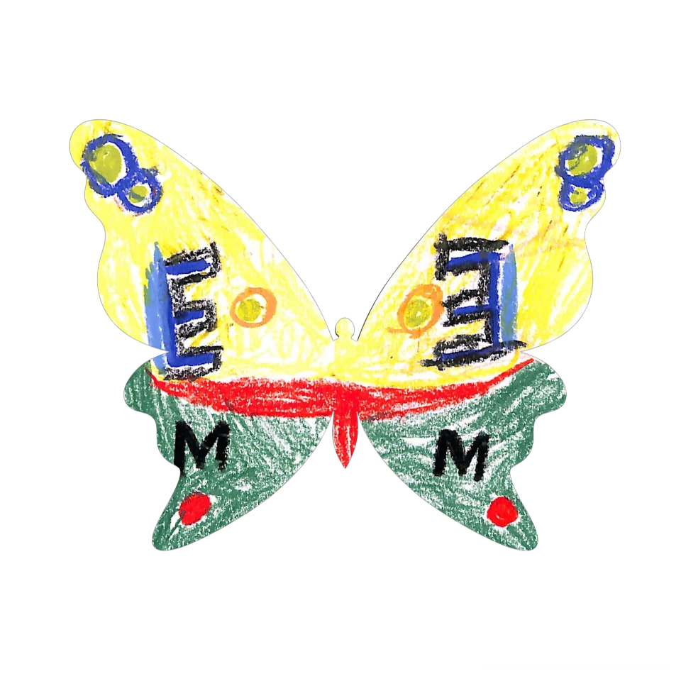 Original Butterfly Image