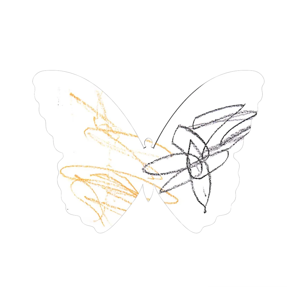 Original Butterfly Image