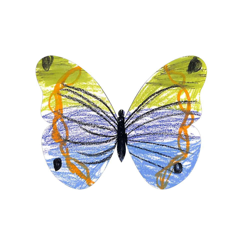 Original Butterfly Image