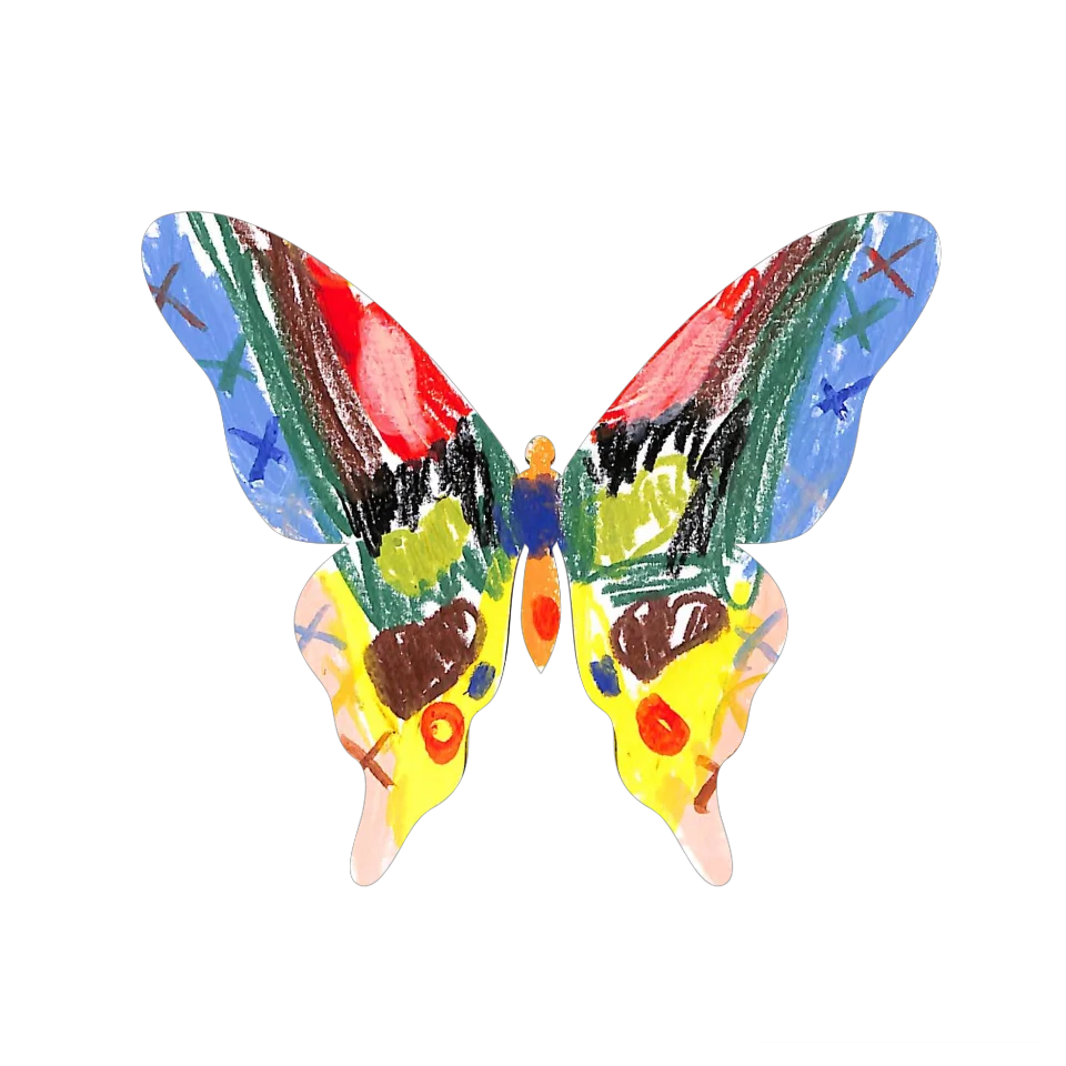 Original Butterfly Image