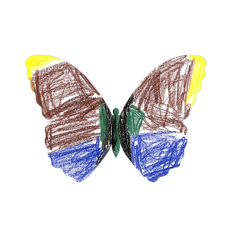 Original Butterfly Image