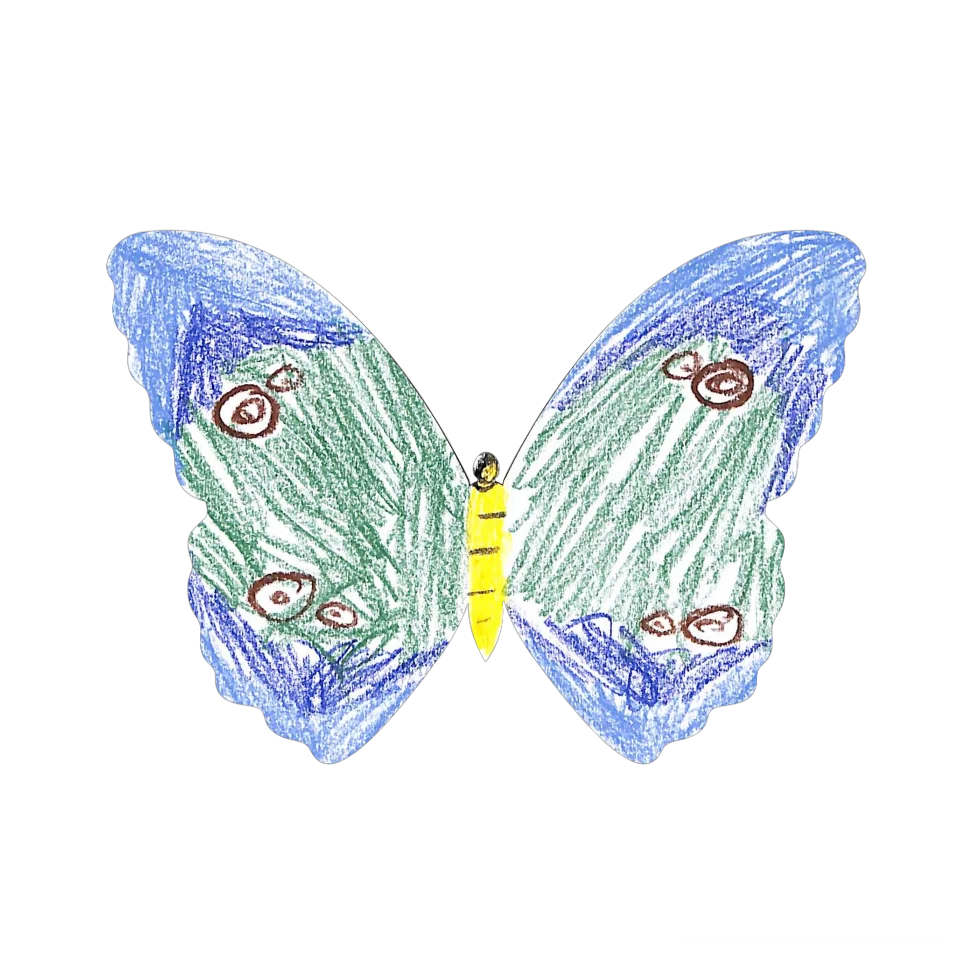 Original Butterfly Image