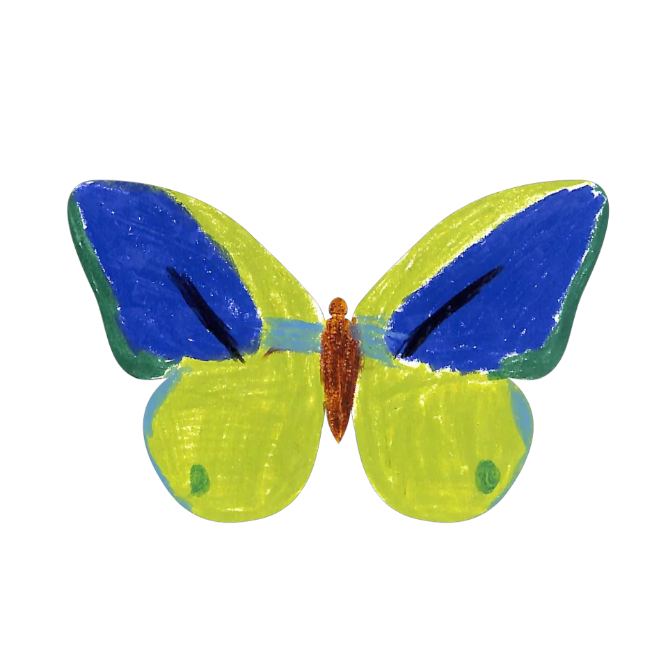 Original Butterfly Image