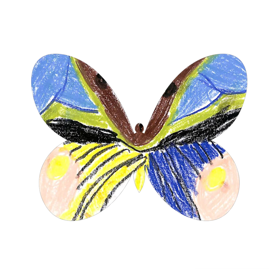Original Butterfly Image