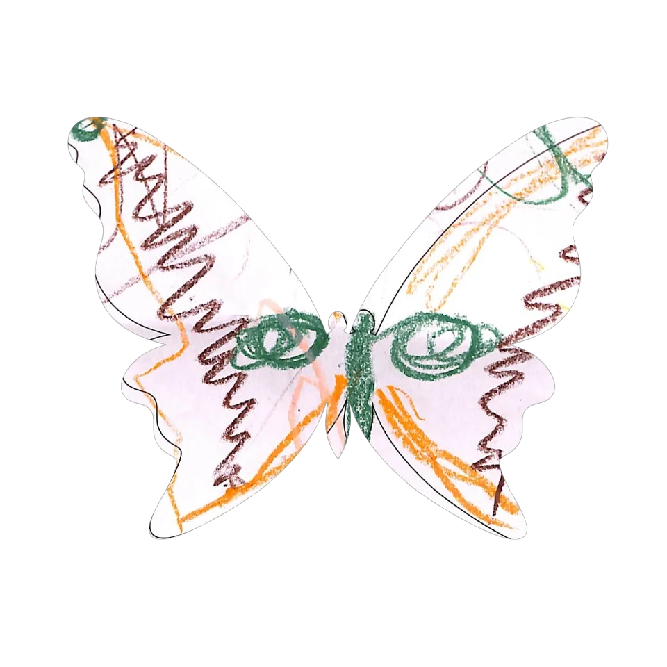 Original Butterfly Image