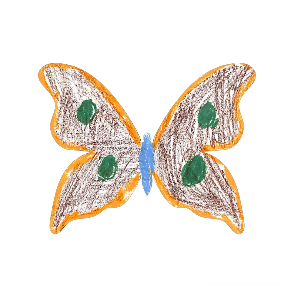 Original Butterfly Image
