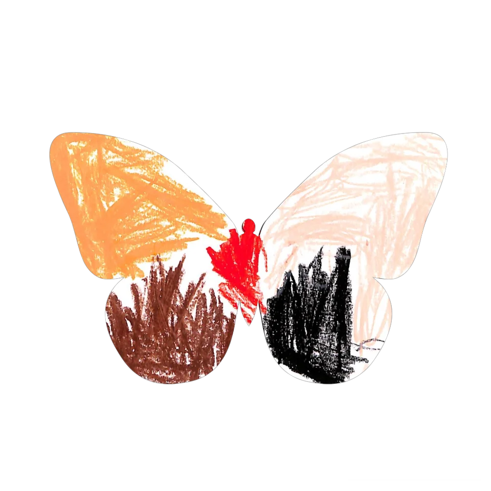 Original Butterfly Image