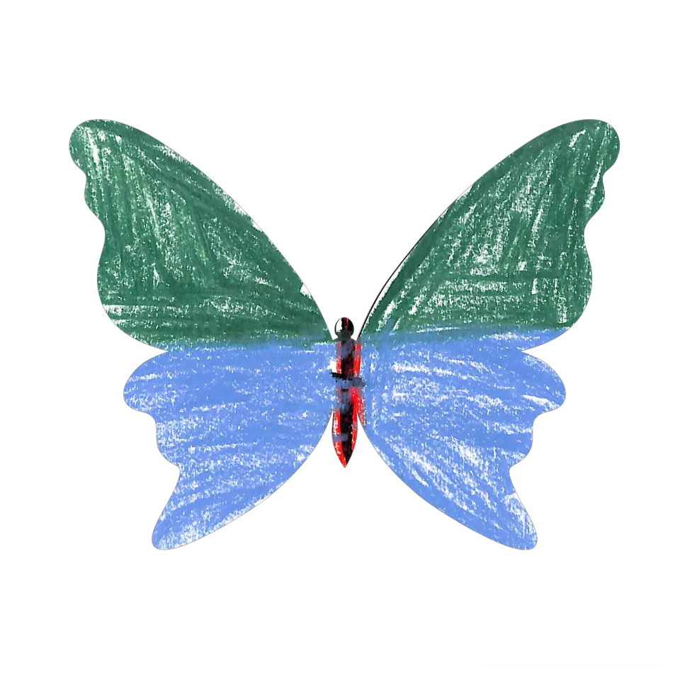 Original Butterfly Image