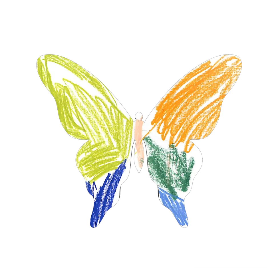 Original Butterfly Image