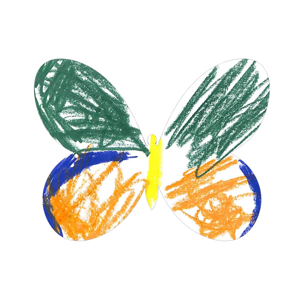 Original Butterfly Image