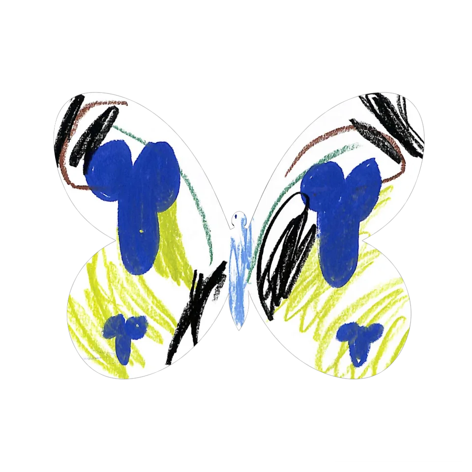 Original Butterfly Image