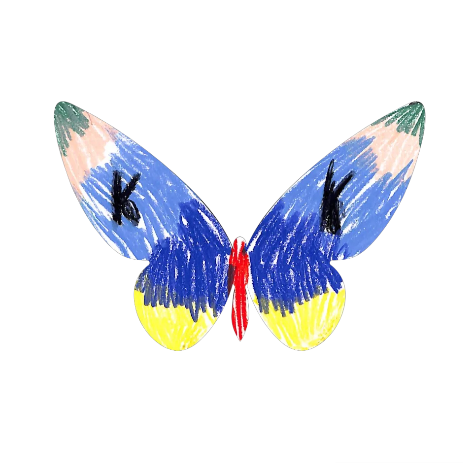 Original Butterfly Image