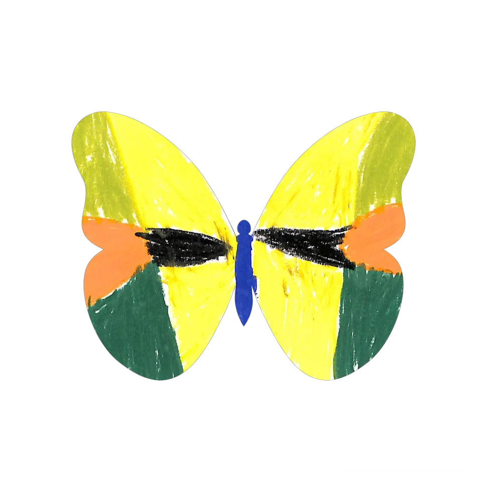 Original Butterfly Image