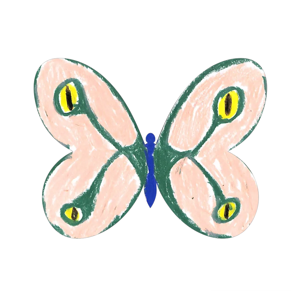 Original Butterfly Image
