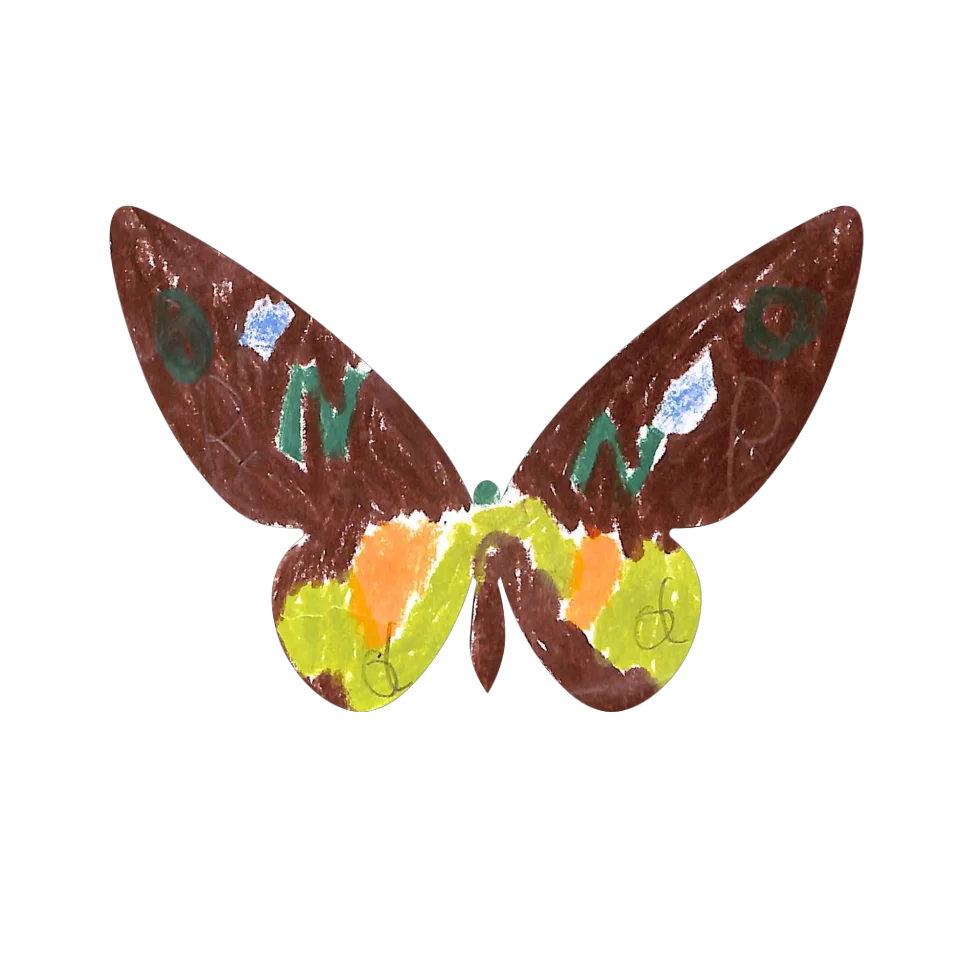Original Butterfly Image