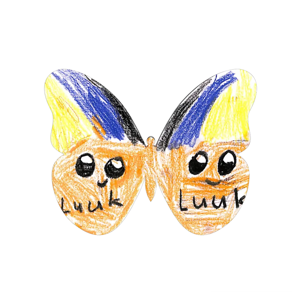 Original Butterfly Image