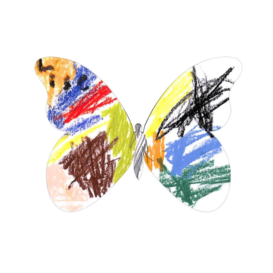 Original Butterfly Image