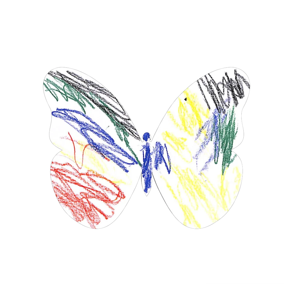Original Butterfly Image