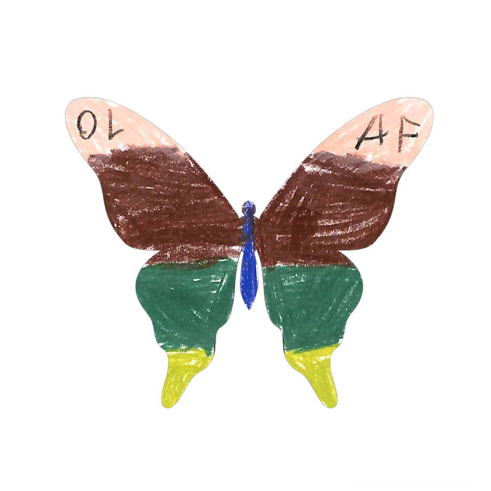 Original Butterfly Image