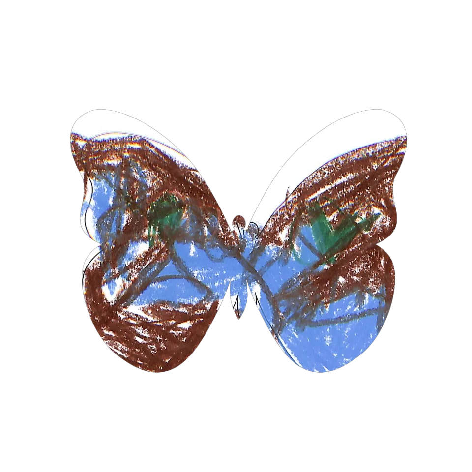 Original Butterfly Image