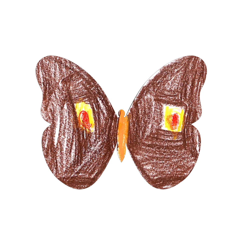 Original Butterfly Image