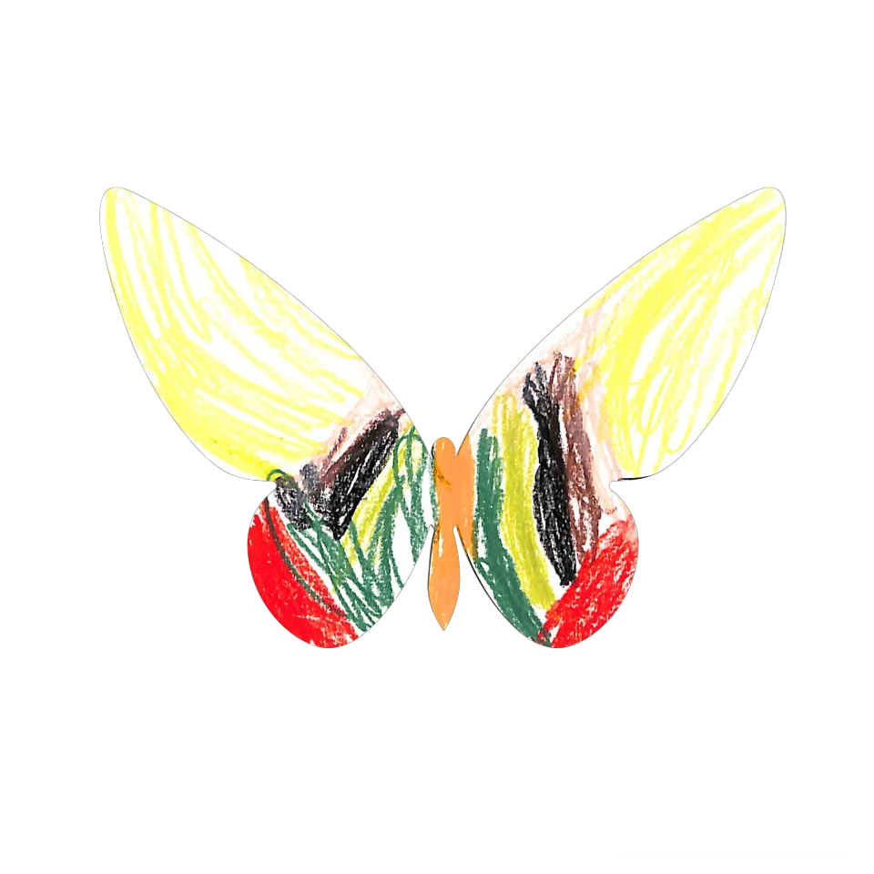 Original Butterfly Image