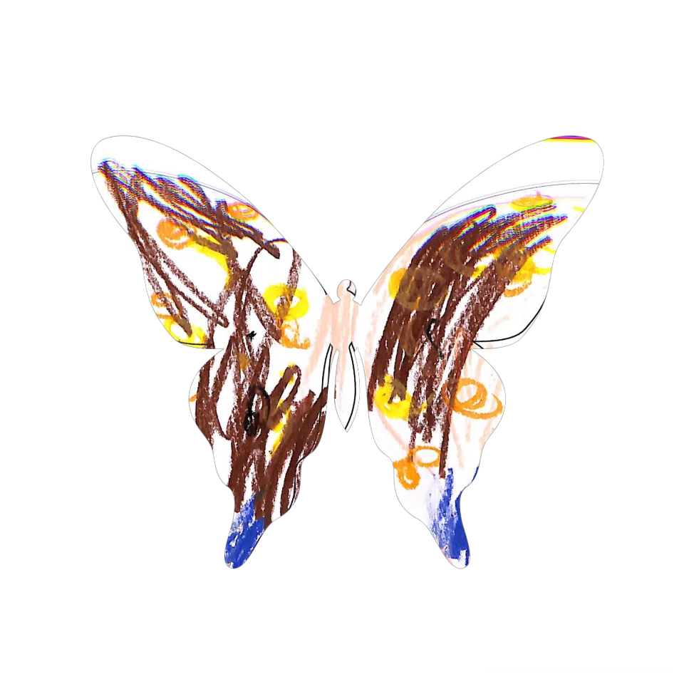 Original Butterfly Image