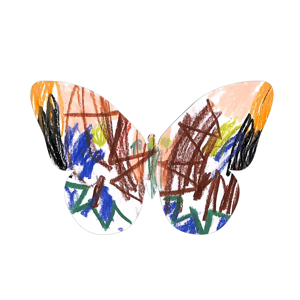 Original Butterfly Image