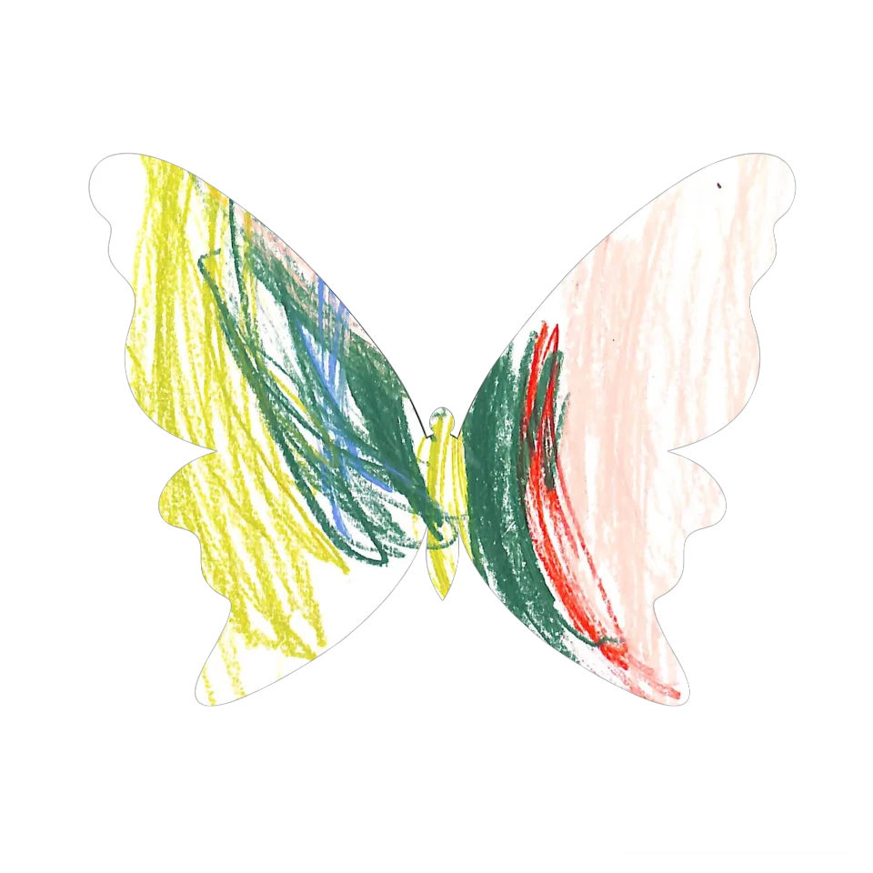 Original Butterfly Image