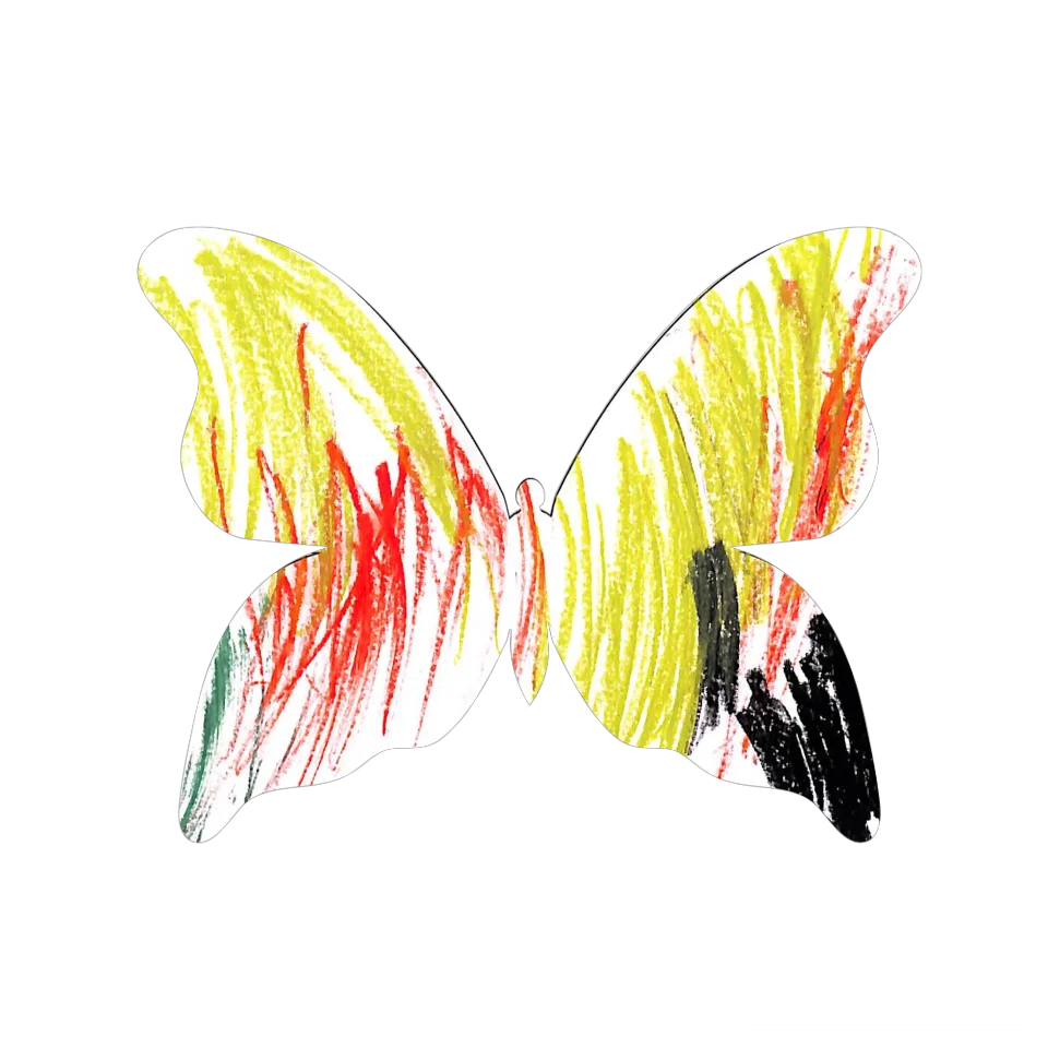 Original Butterfly Image