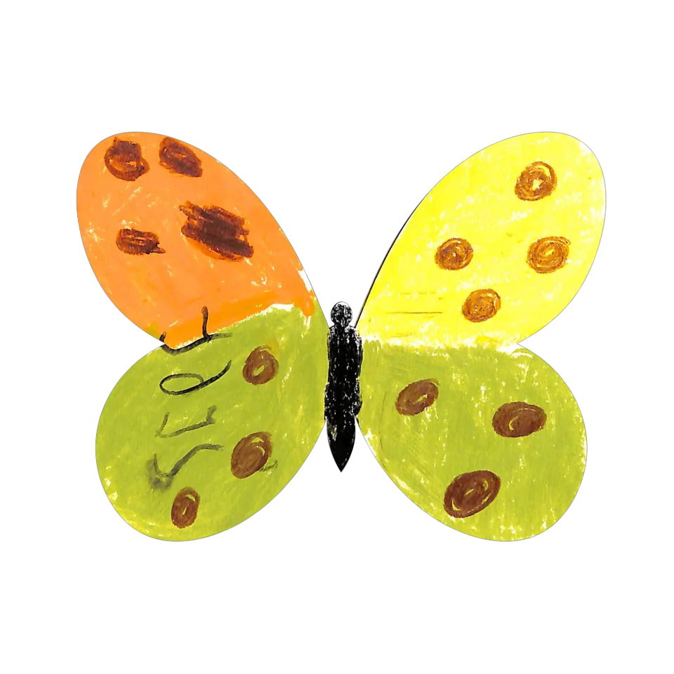 Original Butterfly Image
