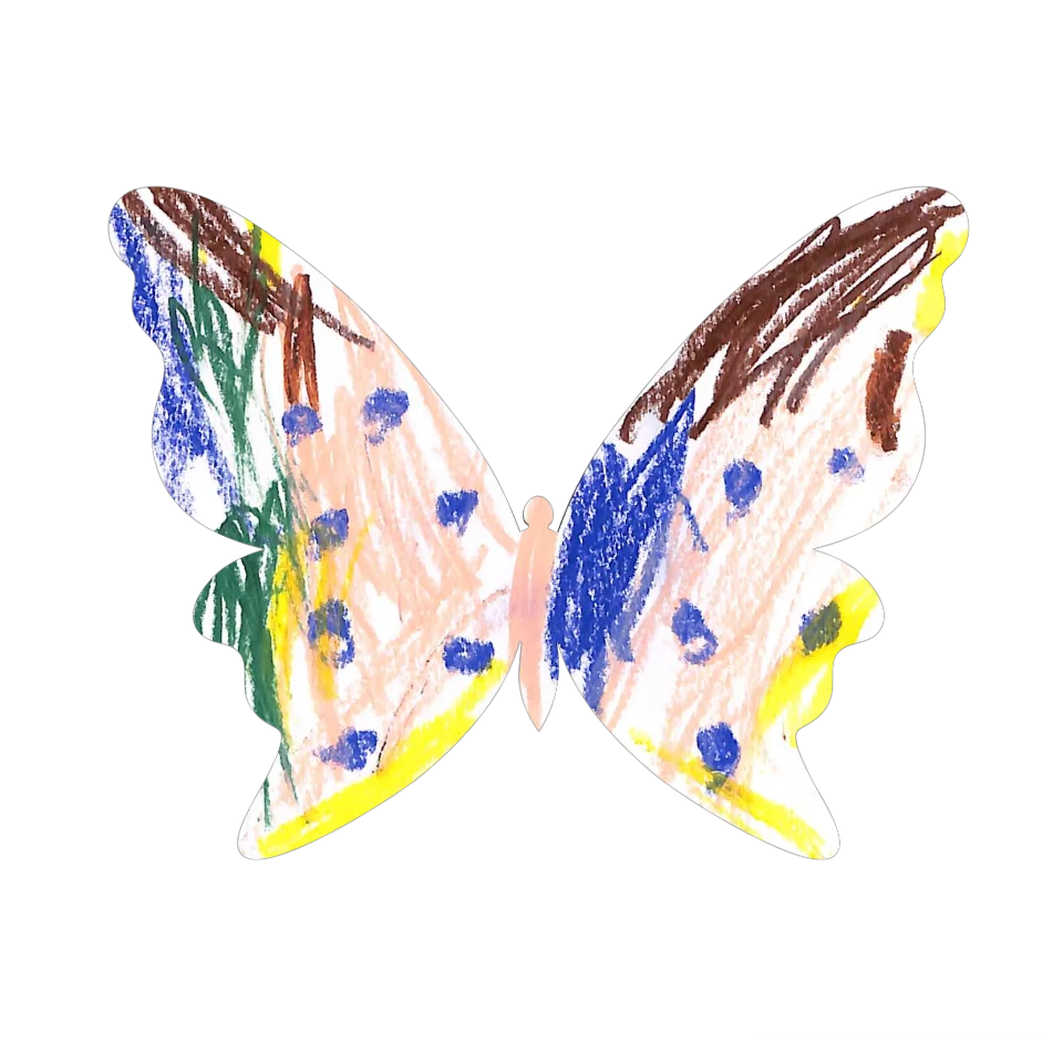Original Butterfly Image