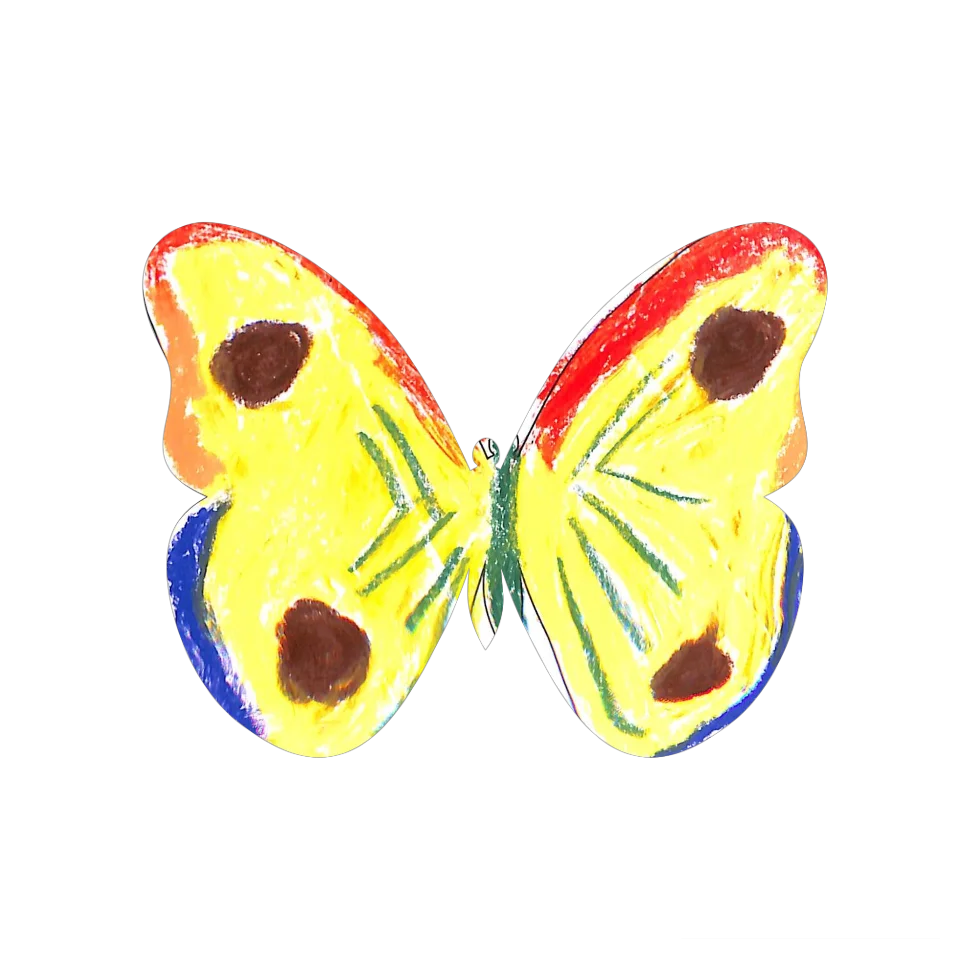 Original Butterfly Image