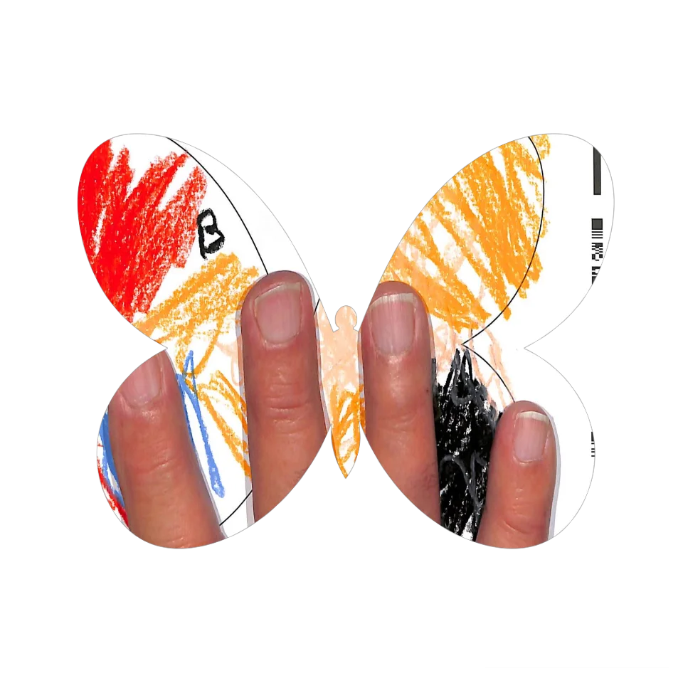 Original Butterfly Image