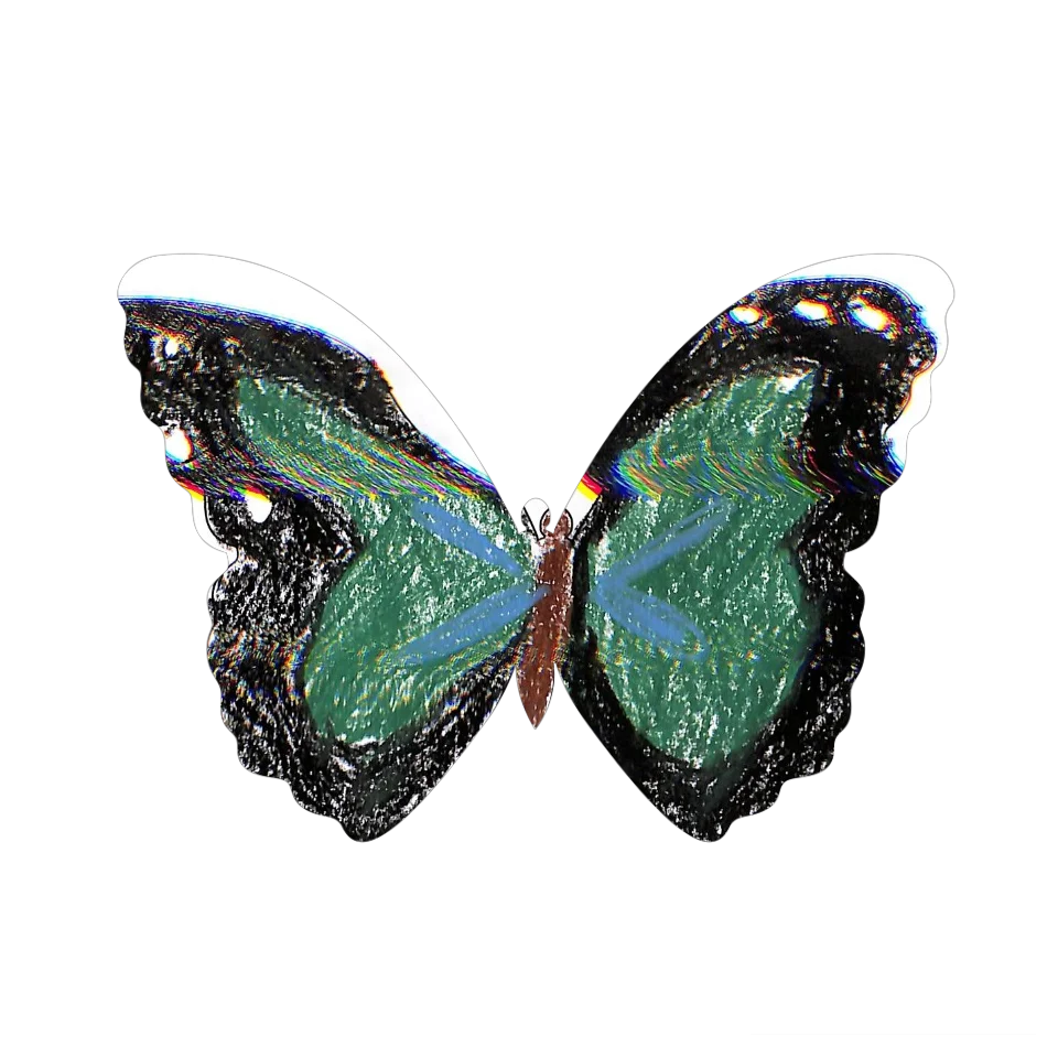 Original Butterfly Image