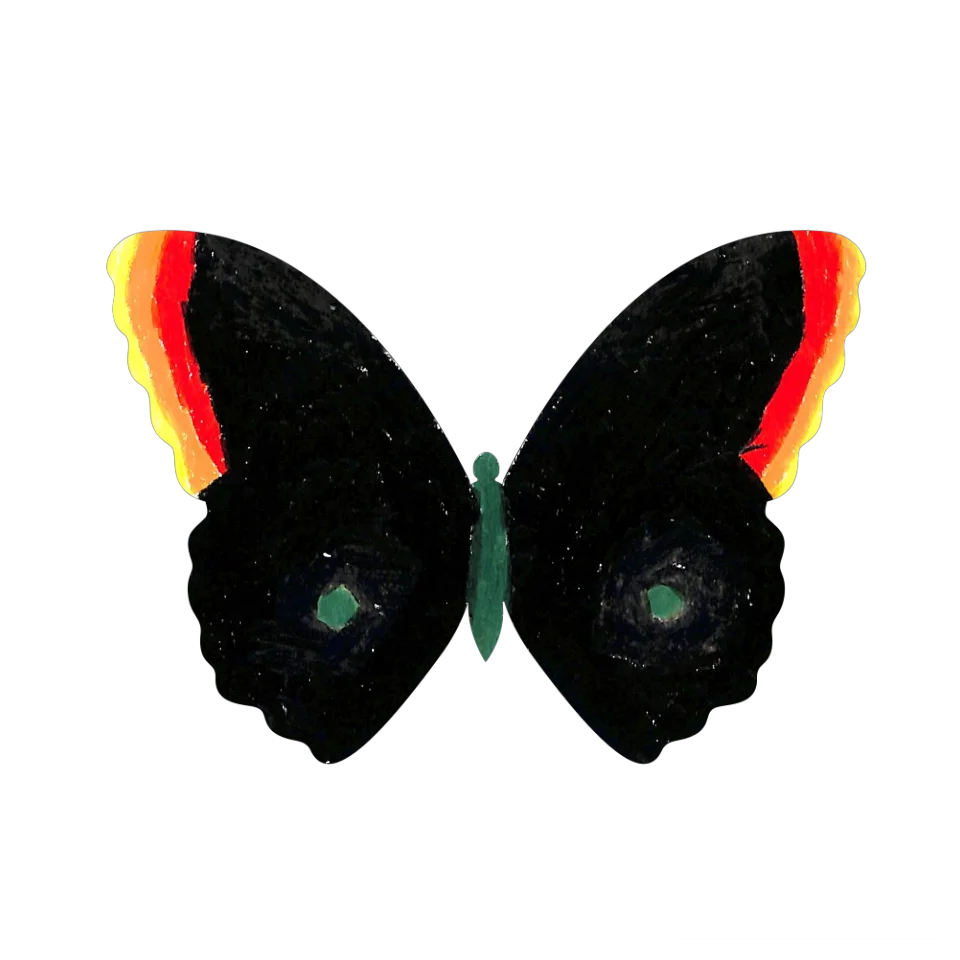 Original Butterfly Image