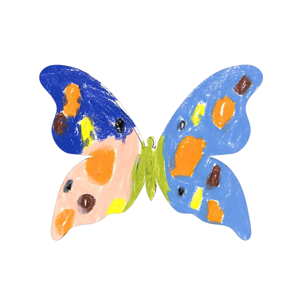 Original Butterfly Image