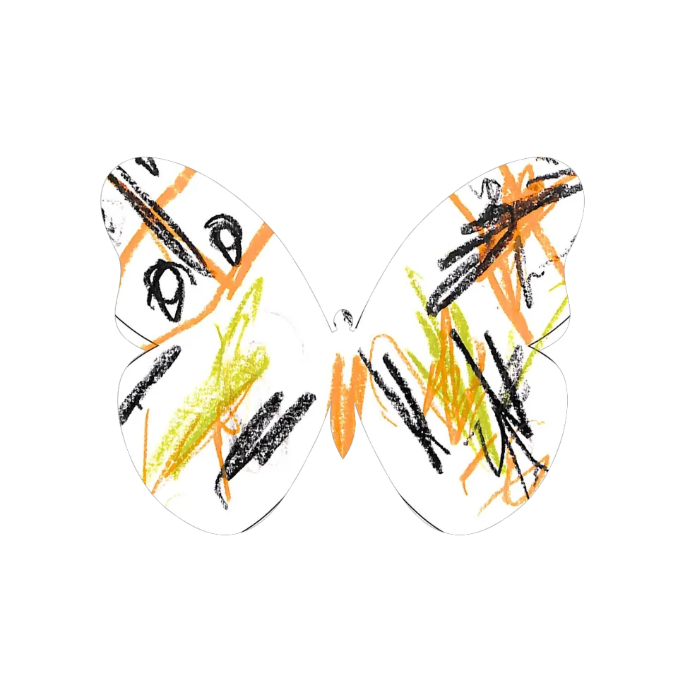 Original Butterfly Image