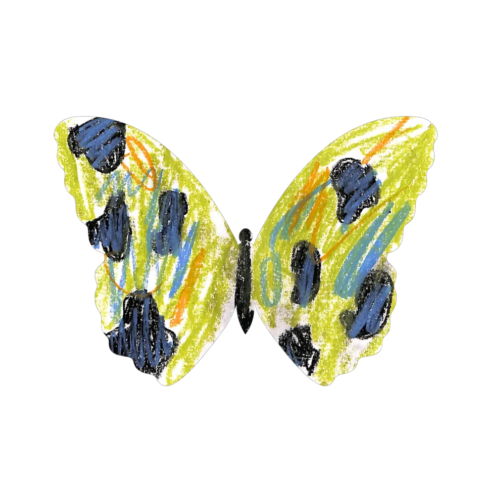 Original Butterfly Image