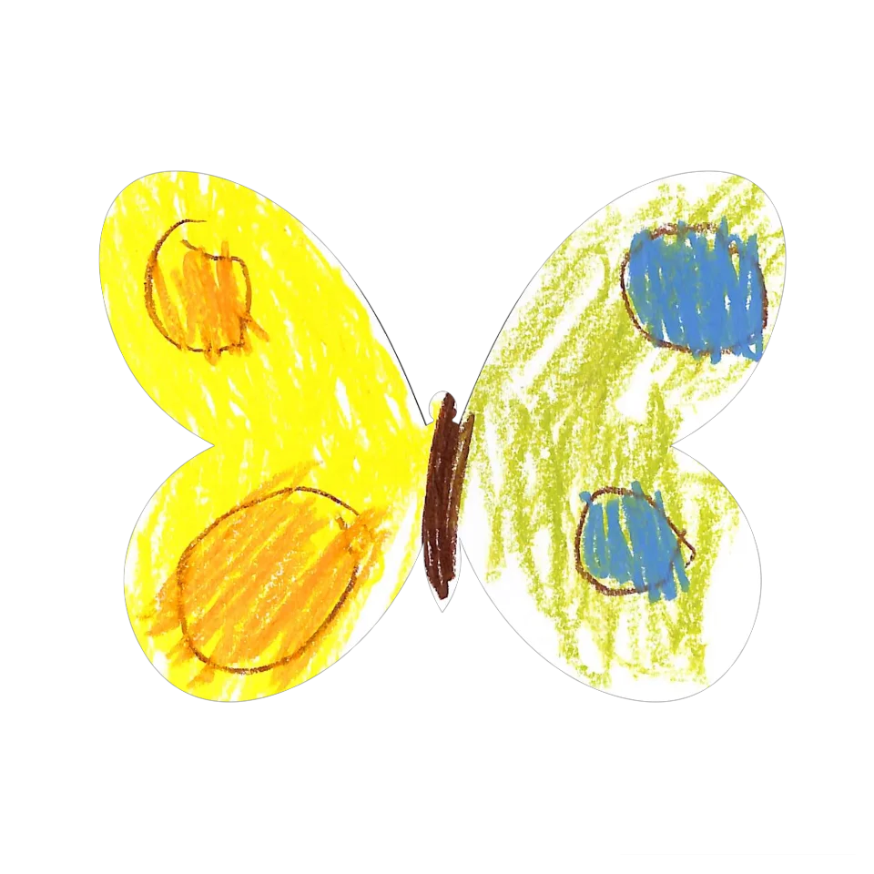 Original Butterfly Image
