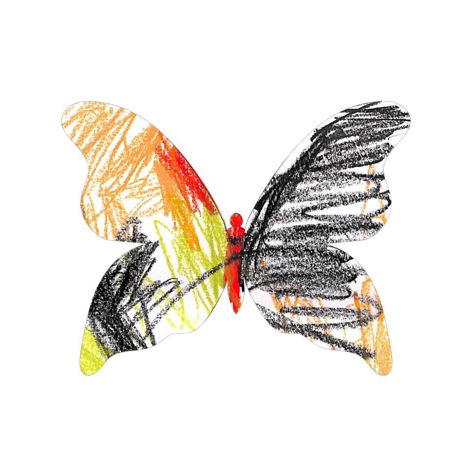 Original Butterfly Image